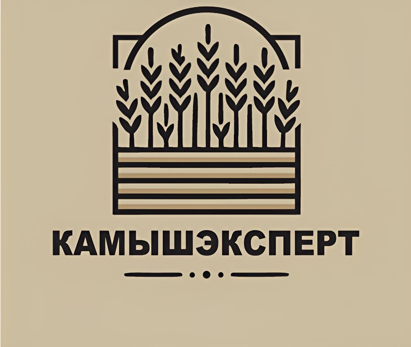KamyshExpert